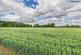 Additional image 11 of Folly, Hill, Thornton Road, North Owersby, Market Rasen