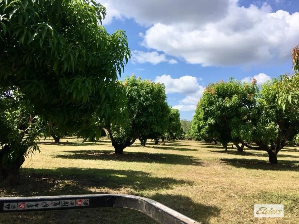Additional image 37 of 125 Buckley Road, Lambells Lagoon NT 0822