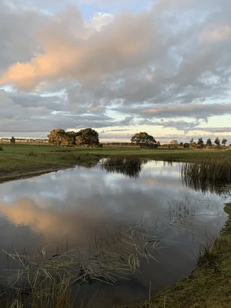 Additional image 9 of 44 Thompson Road, Gherang VIC 3240