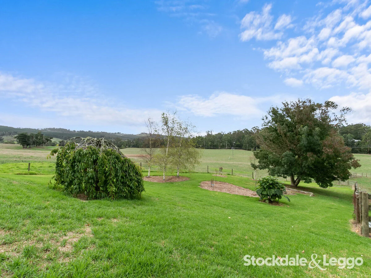 Additional image 38 of 36 Redhill Road, Traralgon South VIC 3844