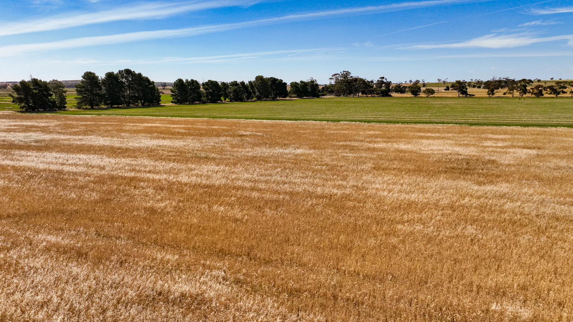 Additional image 26 of 2212 CAREW ROAD, Mundulla SA 5270