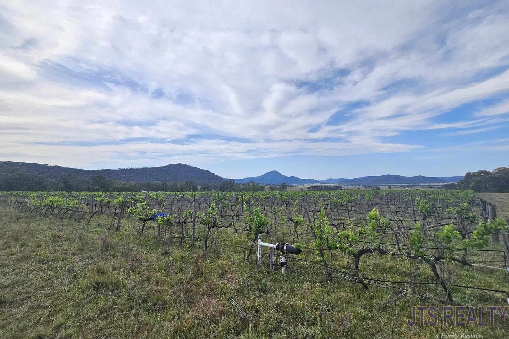 Additional image 26 of 951 Bylong Valley Way, Baerami NSW 2333