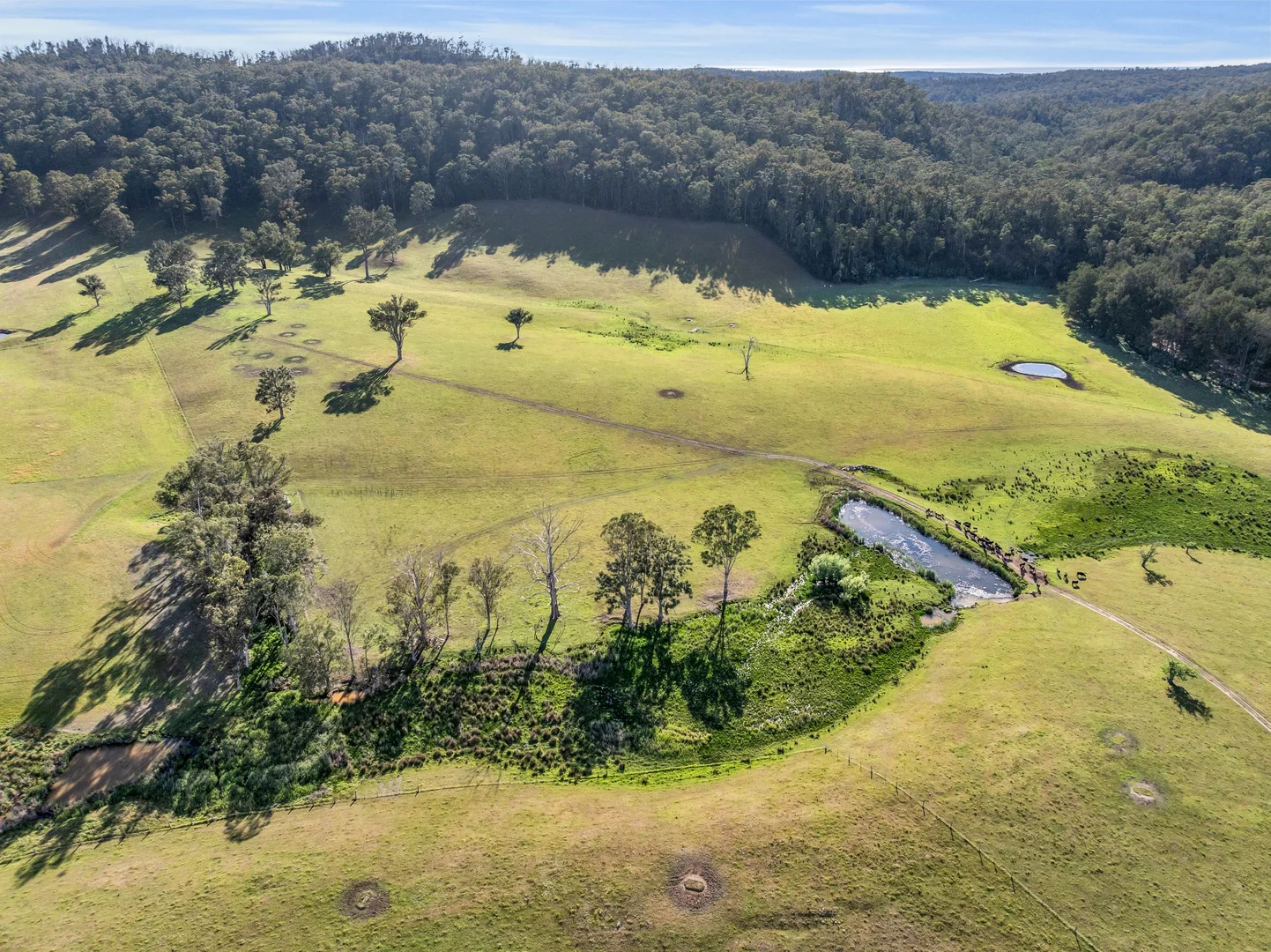 Additional image 10 of 154 Jersey Place, Cobargo NSW 2550