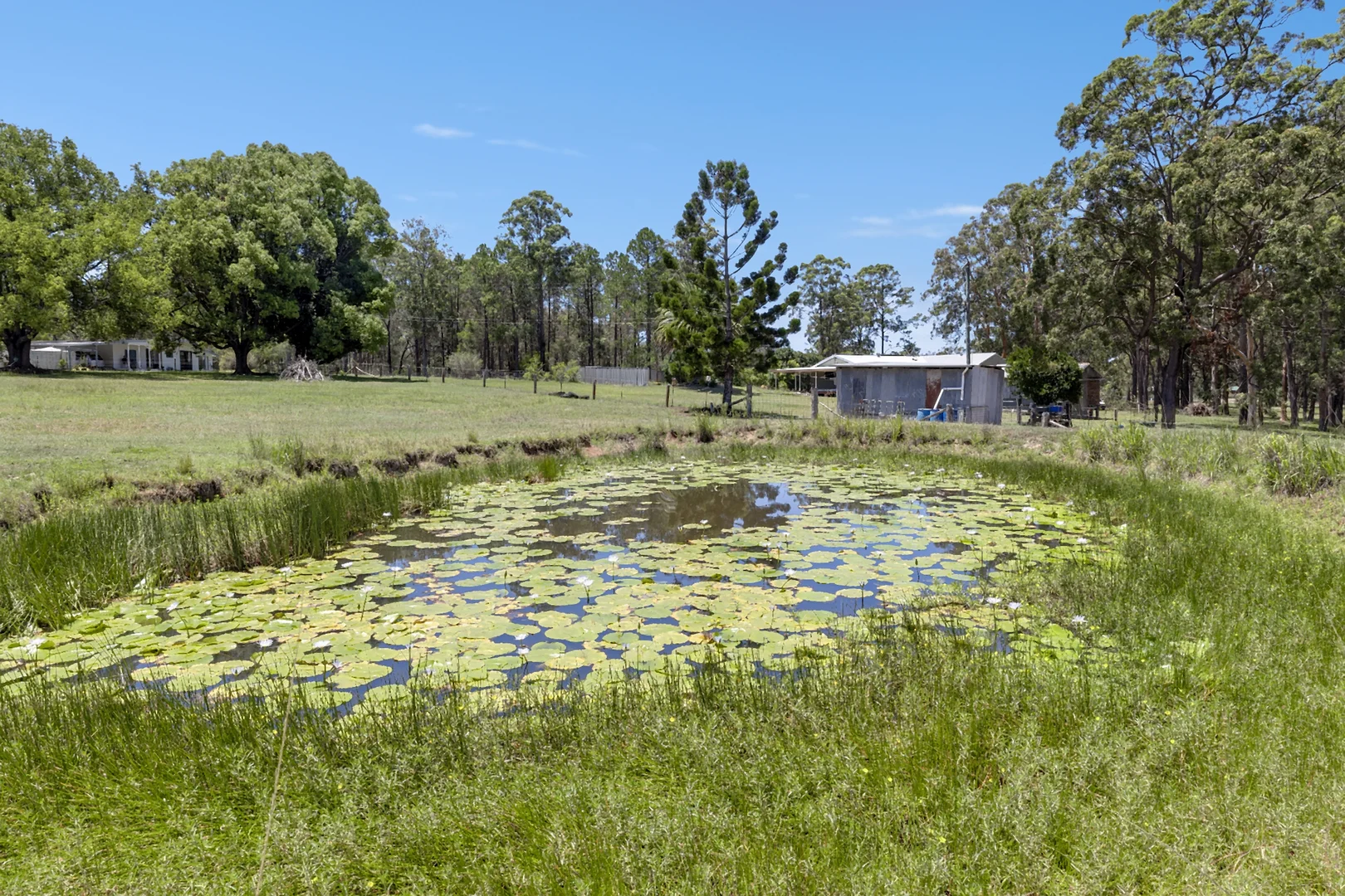 Additional image 3 of 117 Spooners Avenue, Greenhill NSW 2440