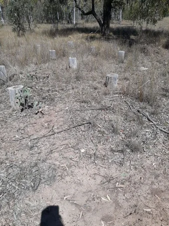 Additional image 5 of #122 Kofoeds Road, Tara QLD 4421