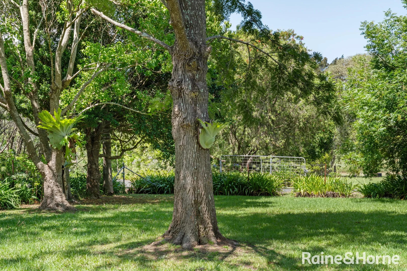 Additional image 30 of 14A Valley View Close, Milton NSW 2538