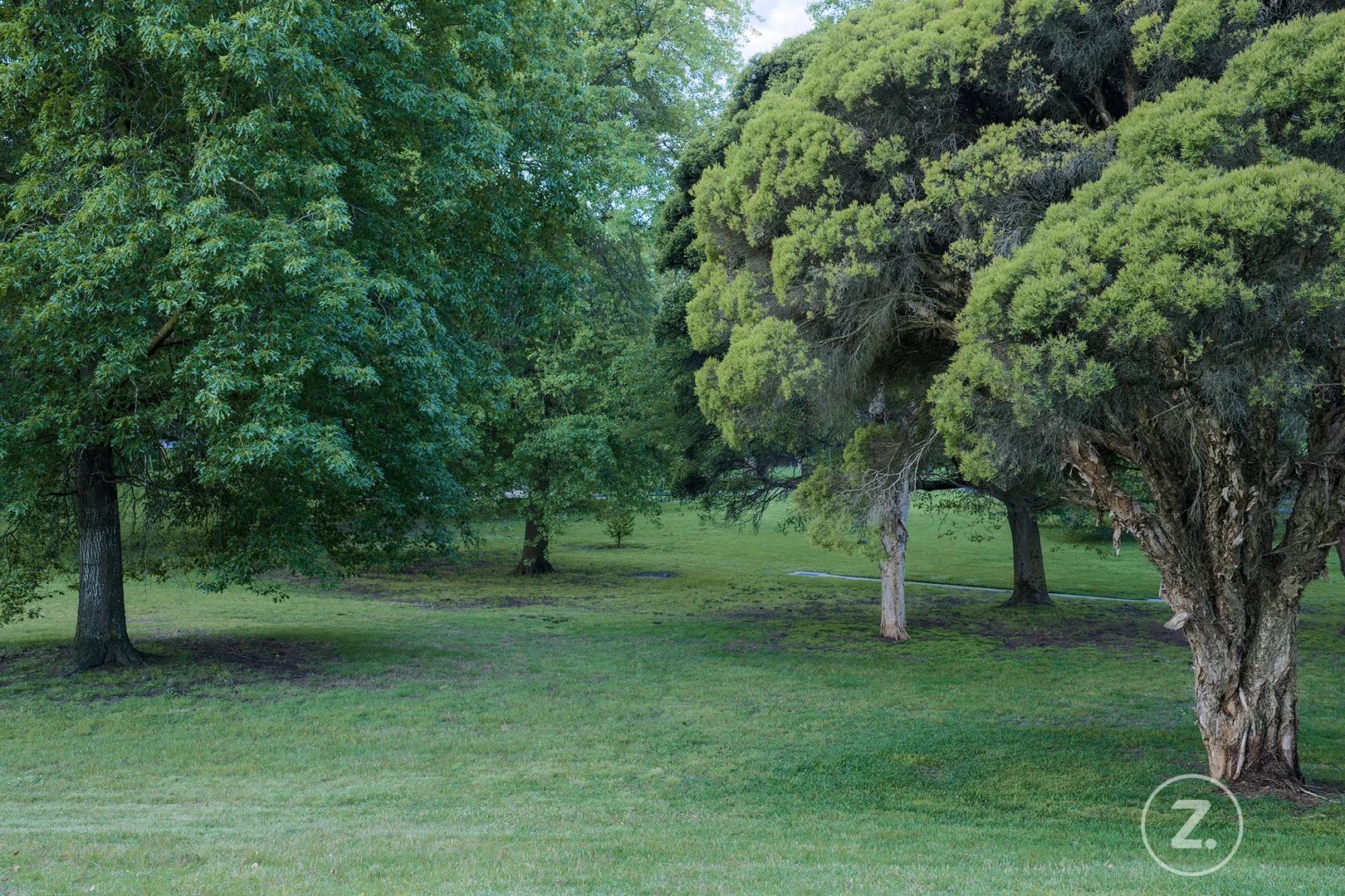 Additional image 22 of 171 Mont Albert Road, Canterbury VIC 3126