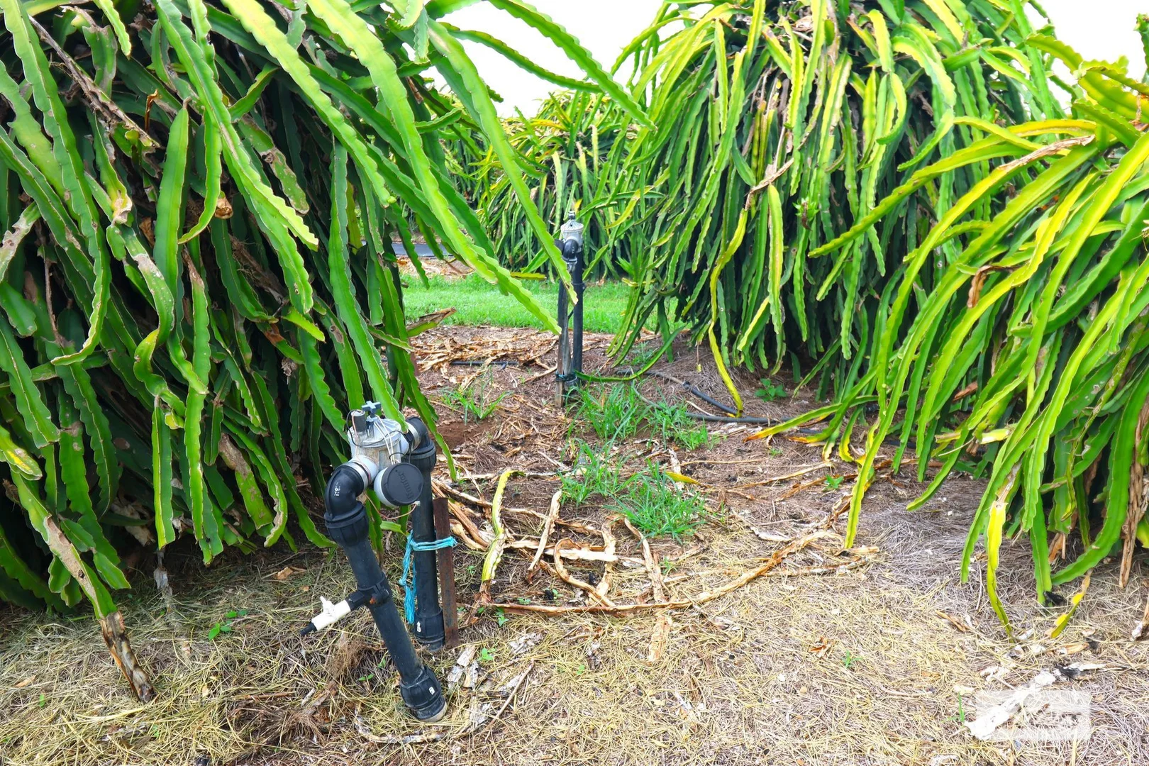 Additional image 4 of 125 Buckley Road, Lambells Lagoon NT 0822