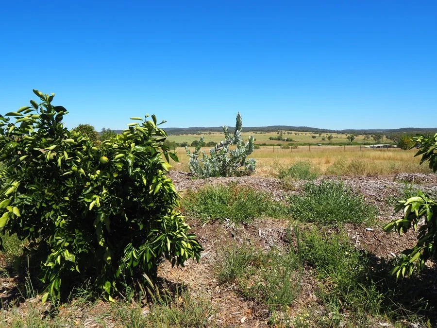 Additional image 5 of Warialda Rail NSW 2402
