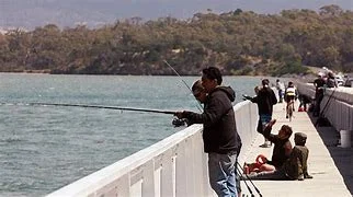 Additional image 3 of 19 Sunningdale Close, Midway Point TAS 7171