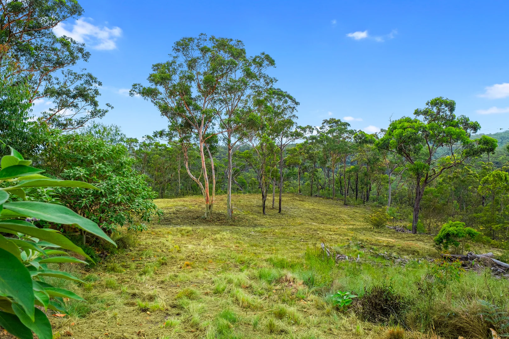 Additional image 15 of 173 Gallaghers Road, South Maroota NSW 2756