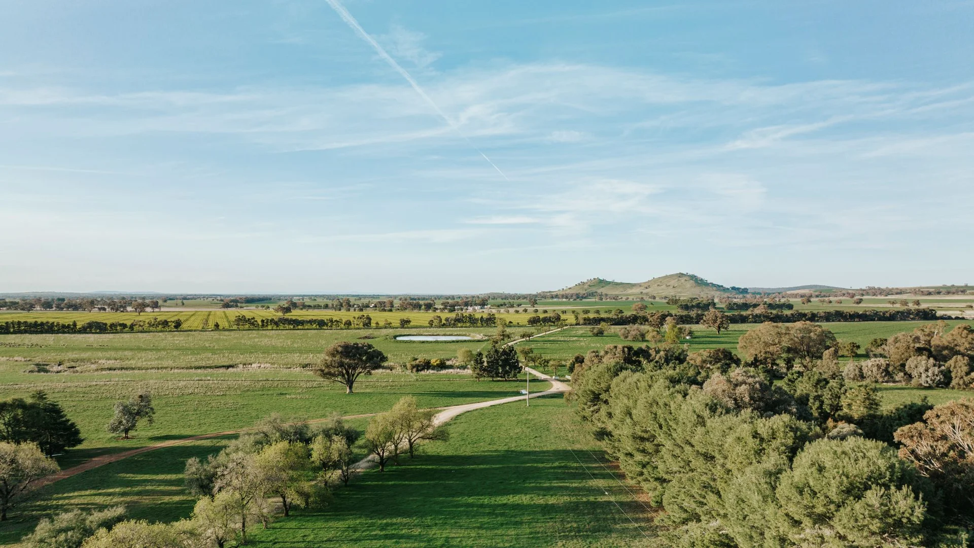 Additional image 5 of 1679 Stockinbingal Road, Cootamundra NSW 2590