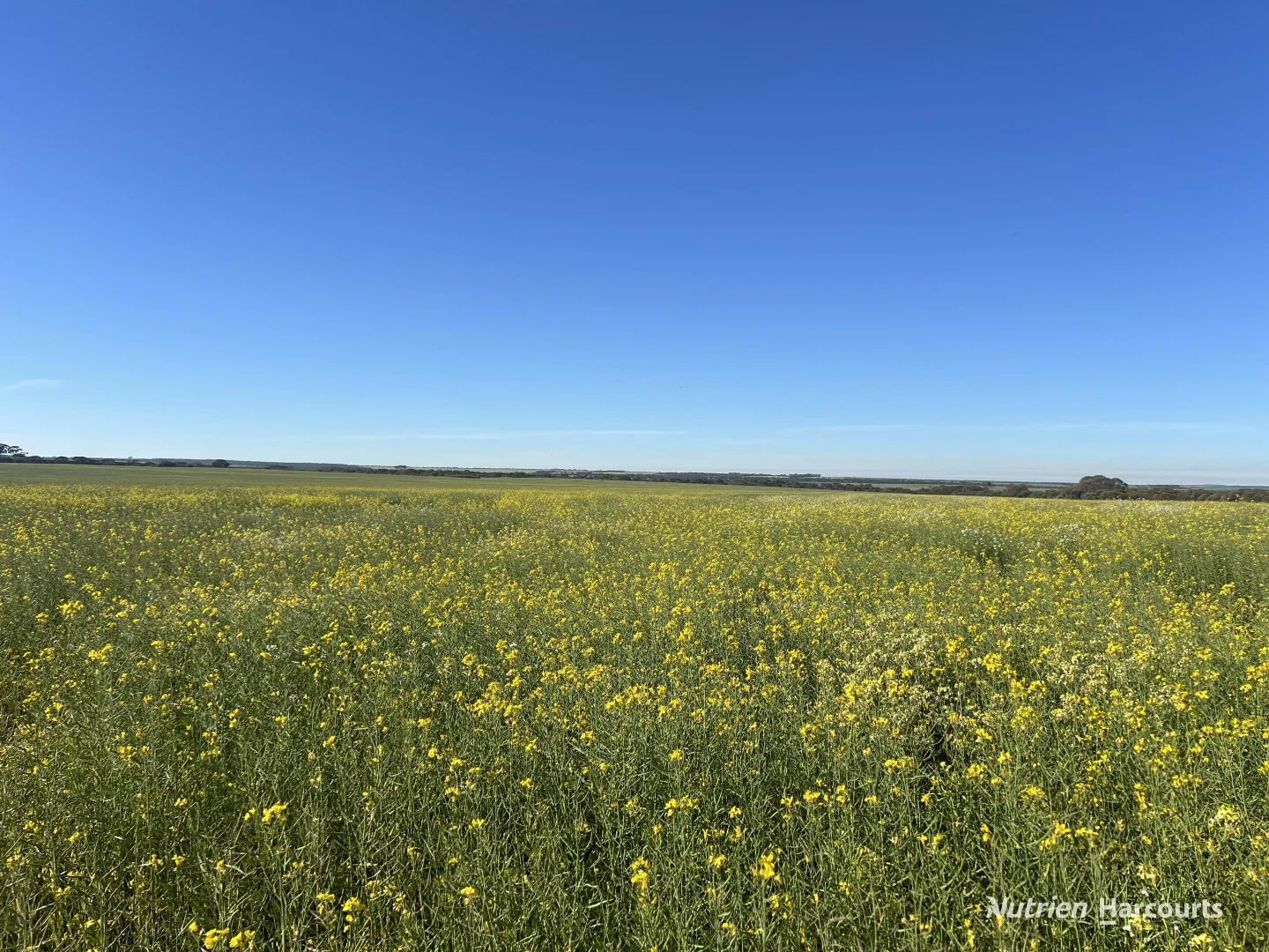 Additional image 7 of 1650 Dulyalbin Road, South Bodallin WA 6424