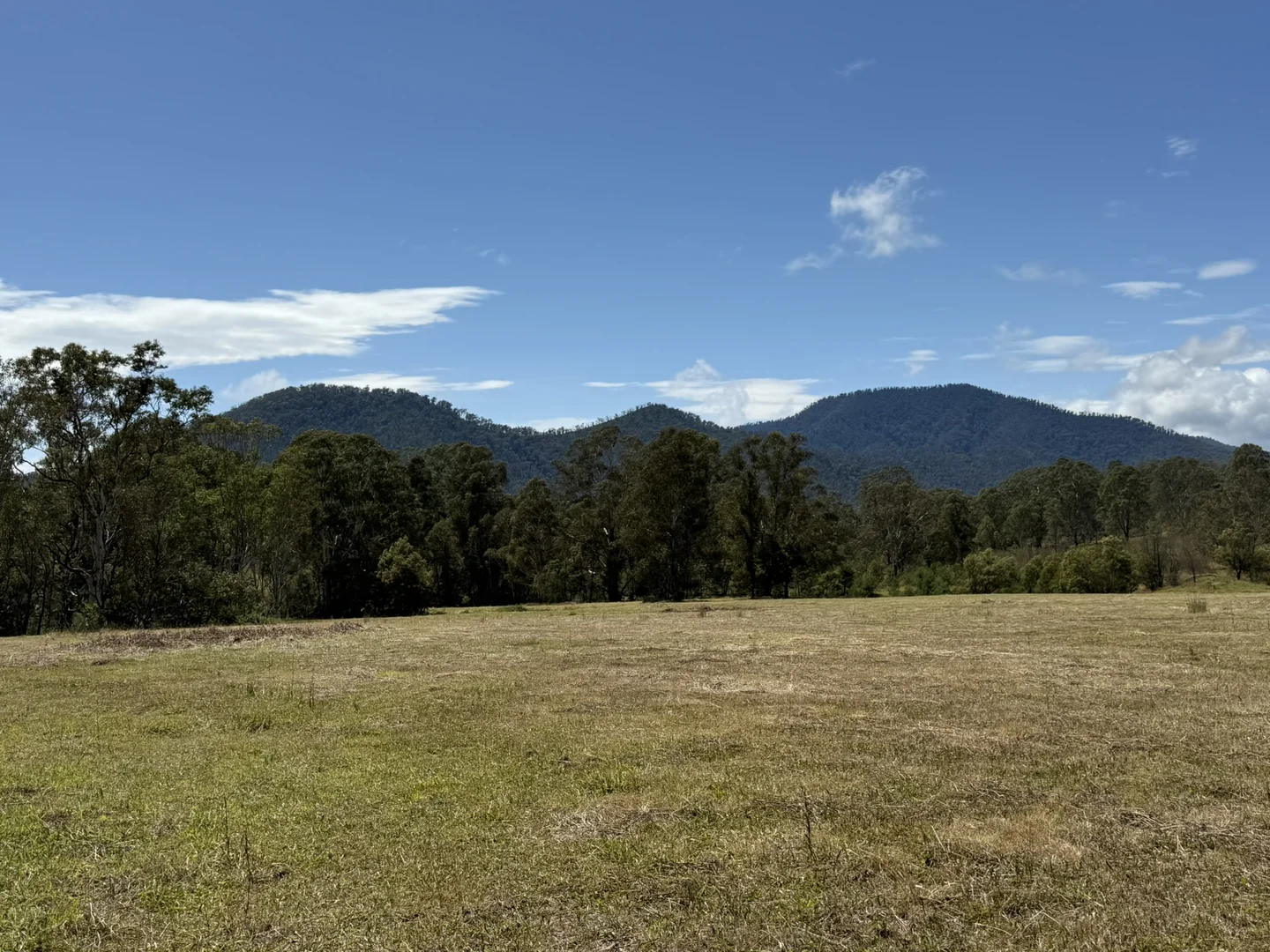 Additional image 23 of 3/1076 Neringla Road, Braidwood NSW 2622