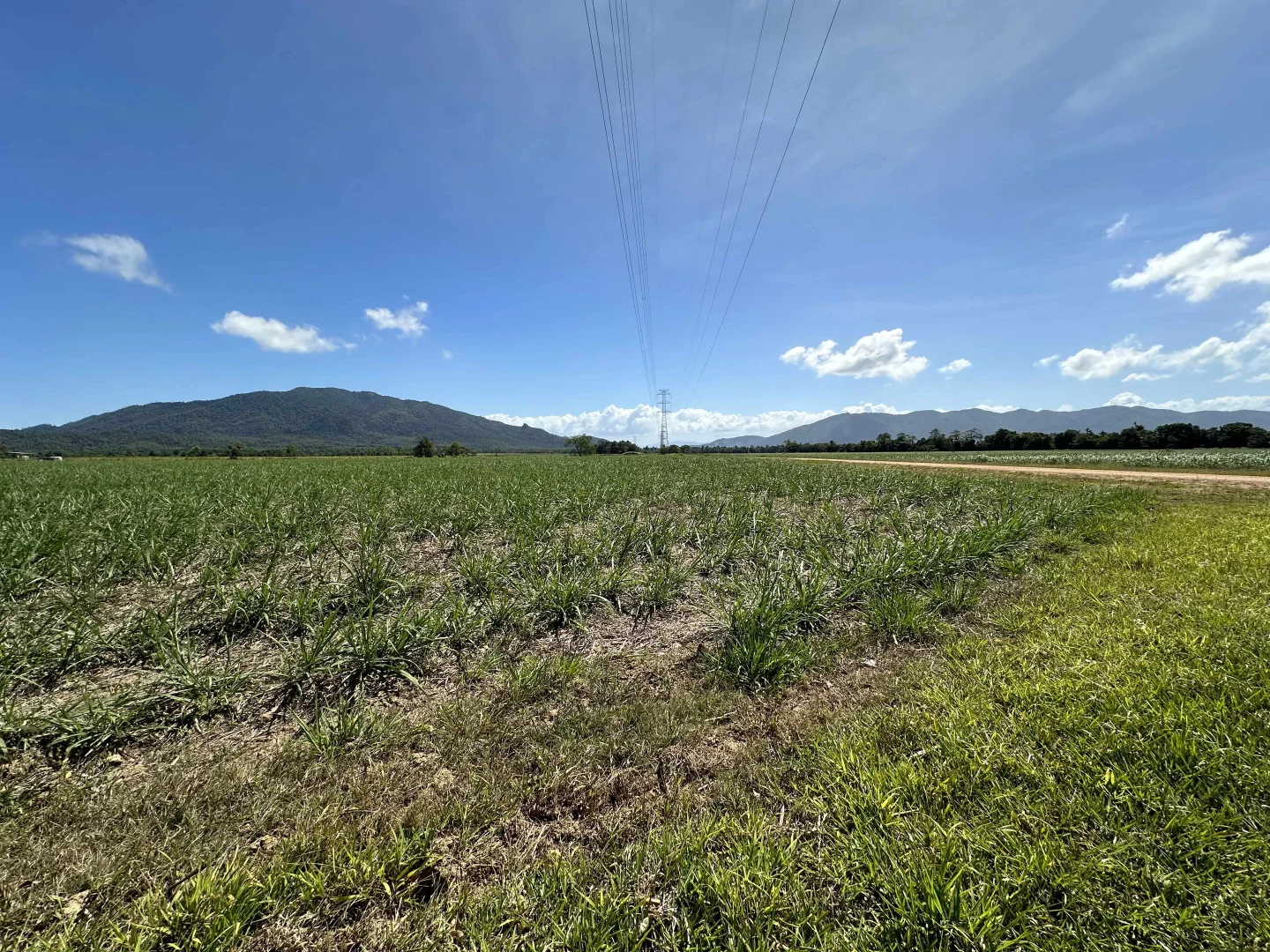 Additional image 19 of East Feluga QLD 4854