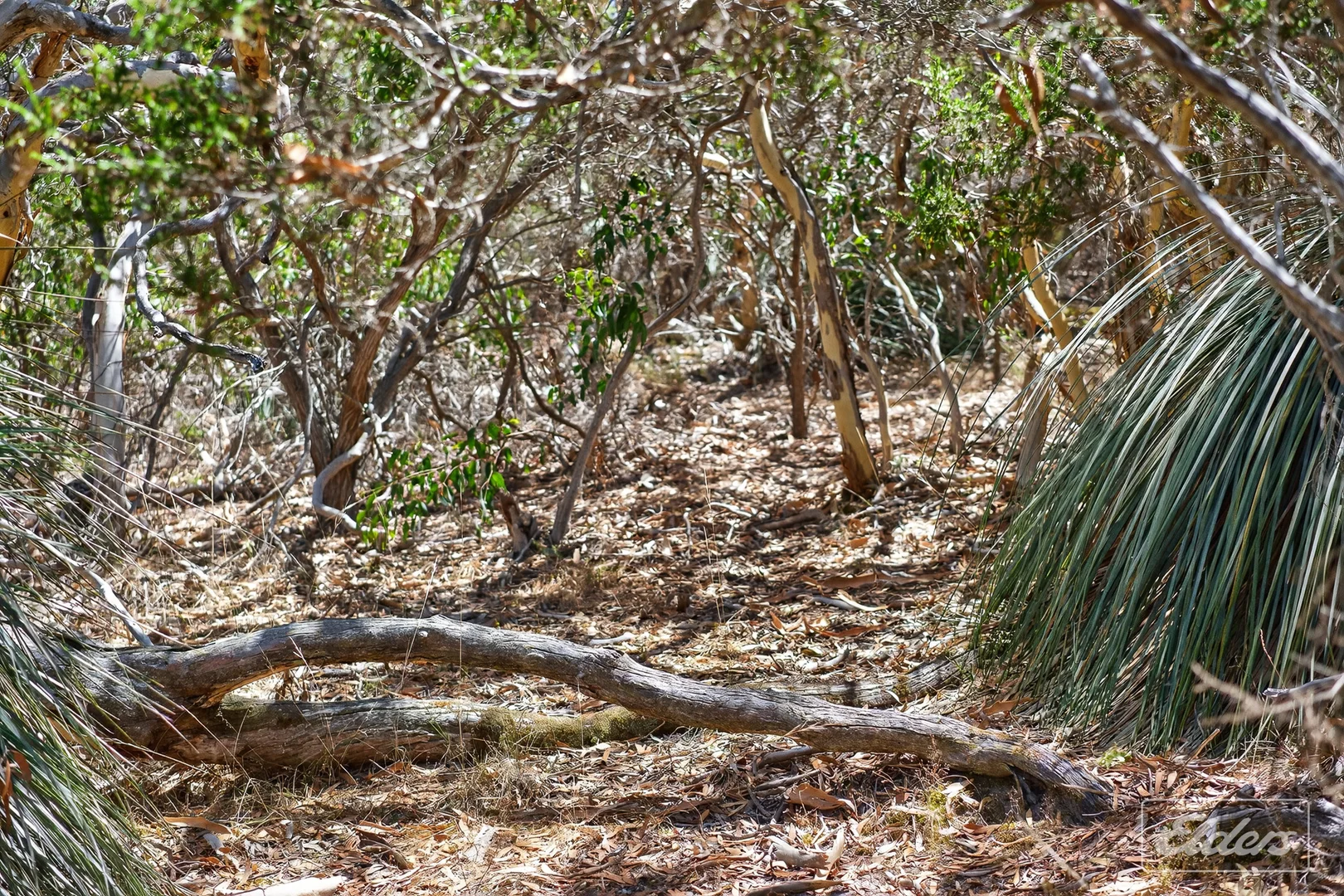 Additional image 79 of 839 Signal Flat Road, Finniss SA 5255