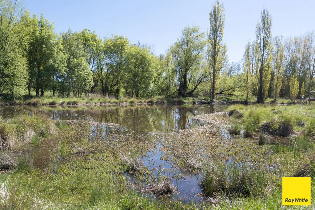 Additional image 7 of 28 Merino Vale Drive, Wamboin NSW 2620