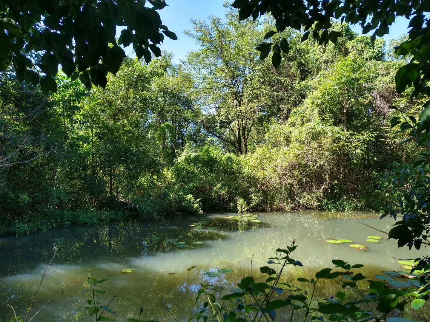 Additional image 3 of 70 North Teven Road, Teven NSW 2478