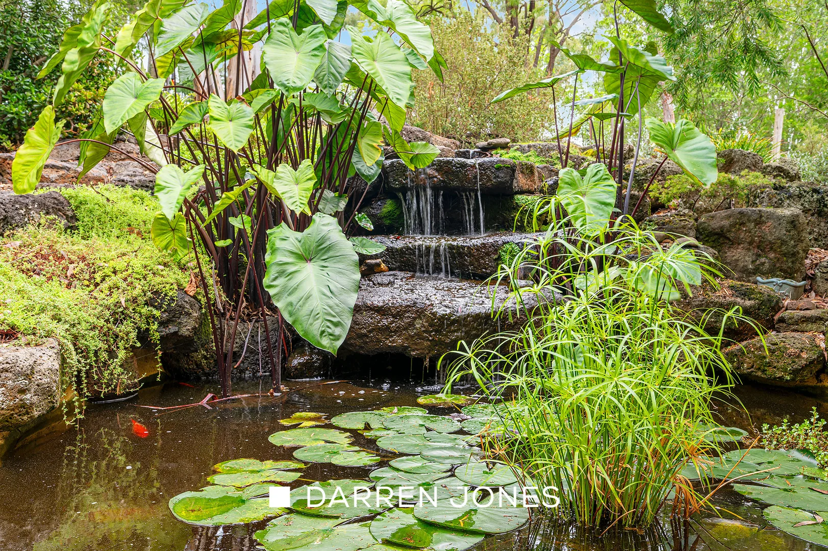 Additional image 18 of 100 Kangaroo Ground-Wattle Glen Road, Wattle Glen VIC 3096