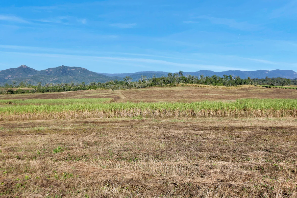 Additional image 4 of Lot 21, 241 Wintons Road, Yalboroo QLD 4741