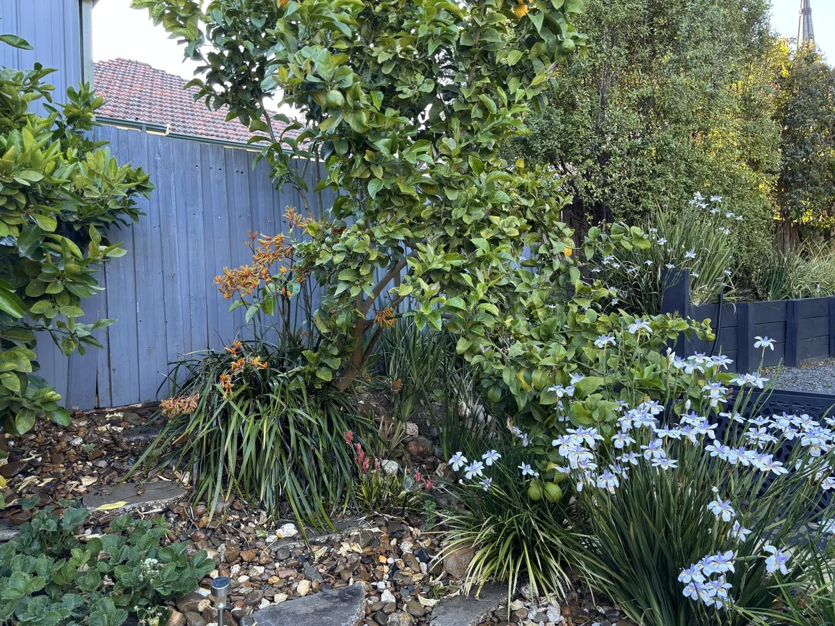 Additional image 14 of 303 Macarthur Street, Soldiers Hill VIC 3350