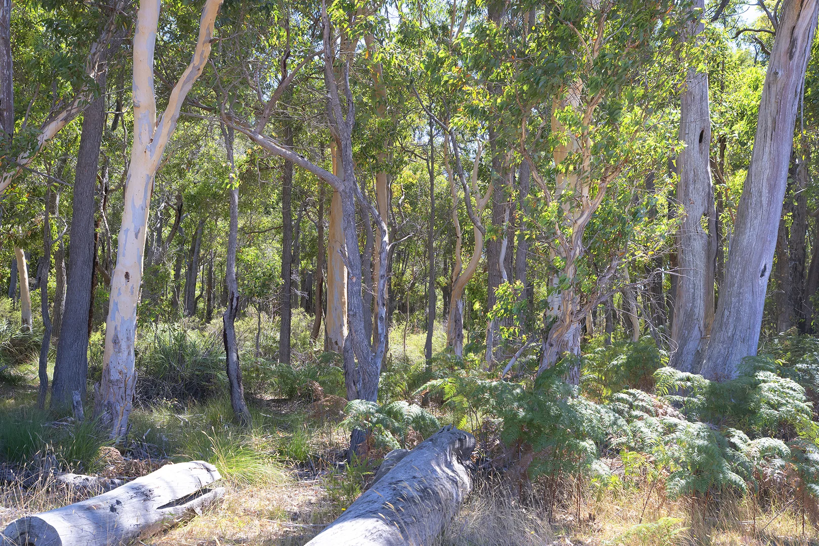 Additional image 18 of 512 Tanah Marah Road, Bramley WA 6285