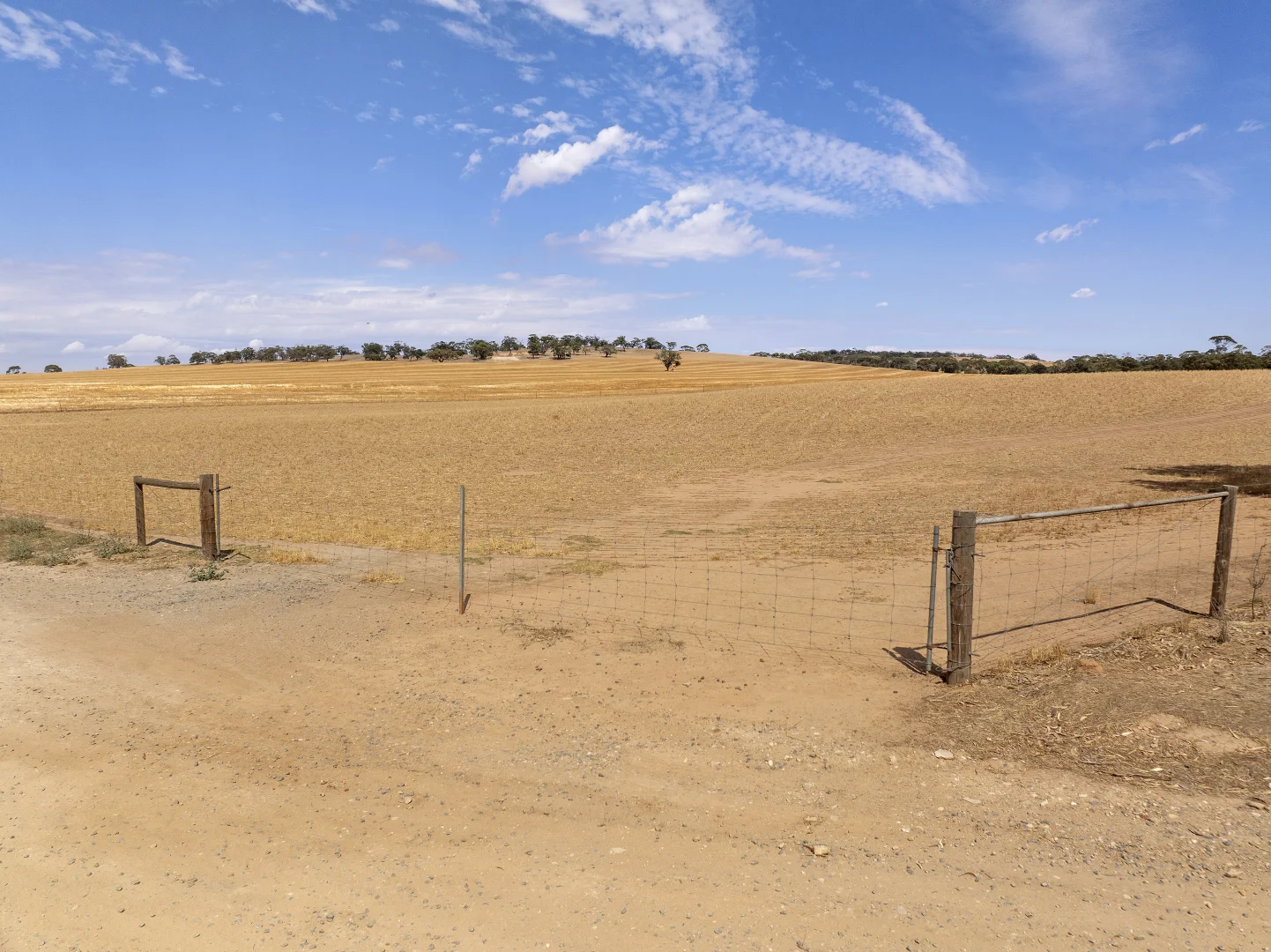 Additional image 29 of 'Merilden Feedlot' & 'Brads', Manoora SA 5414