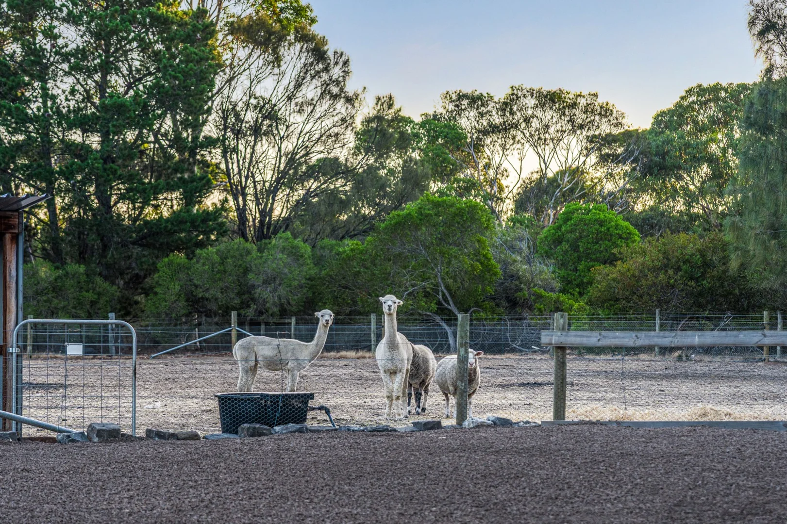 Additional image 29 of 28A Learmonth Street, Teesdale VIC 3328