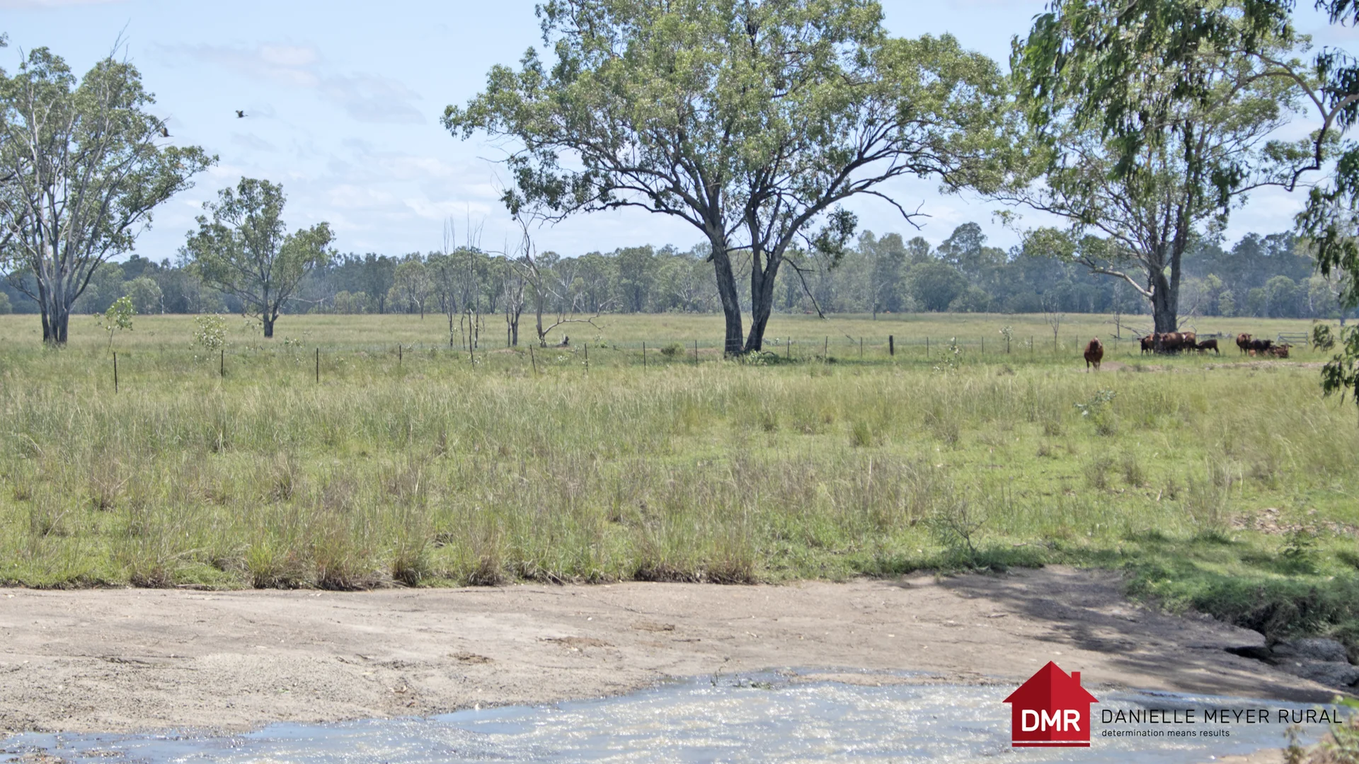 Additional image 27 of 8 Screening Plant Road, Cynthia QLD 4627
