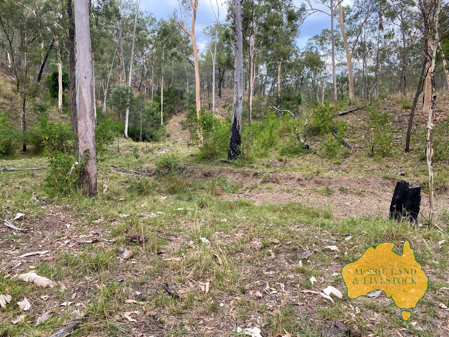 Additional image 20 of 95 Monto Mount Perry Road, Tellebang QLD 4630