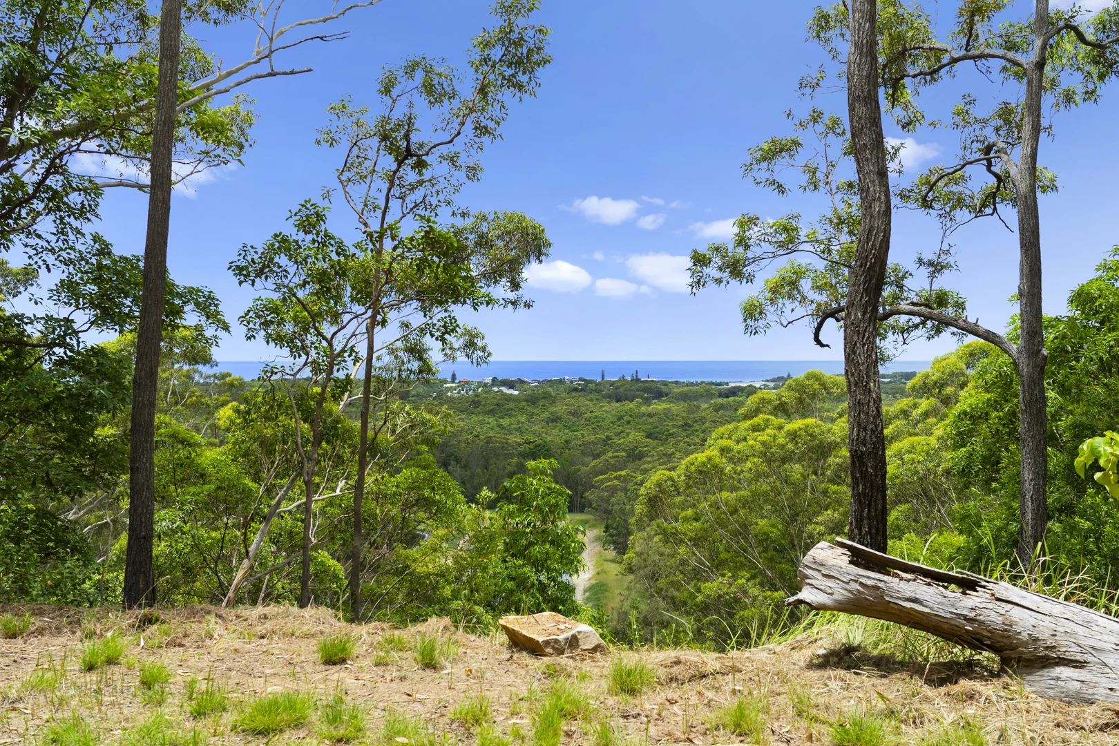 Additional image 6 of 144 Round Mountain Road, Round Mountain NSW 2484