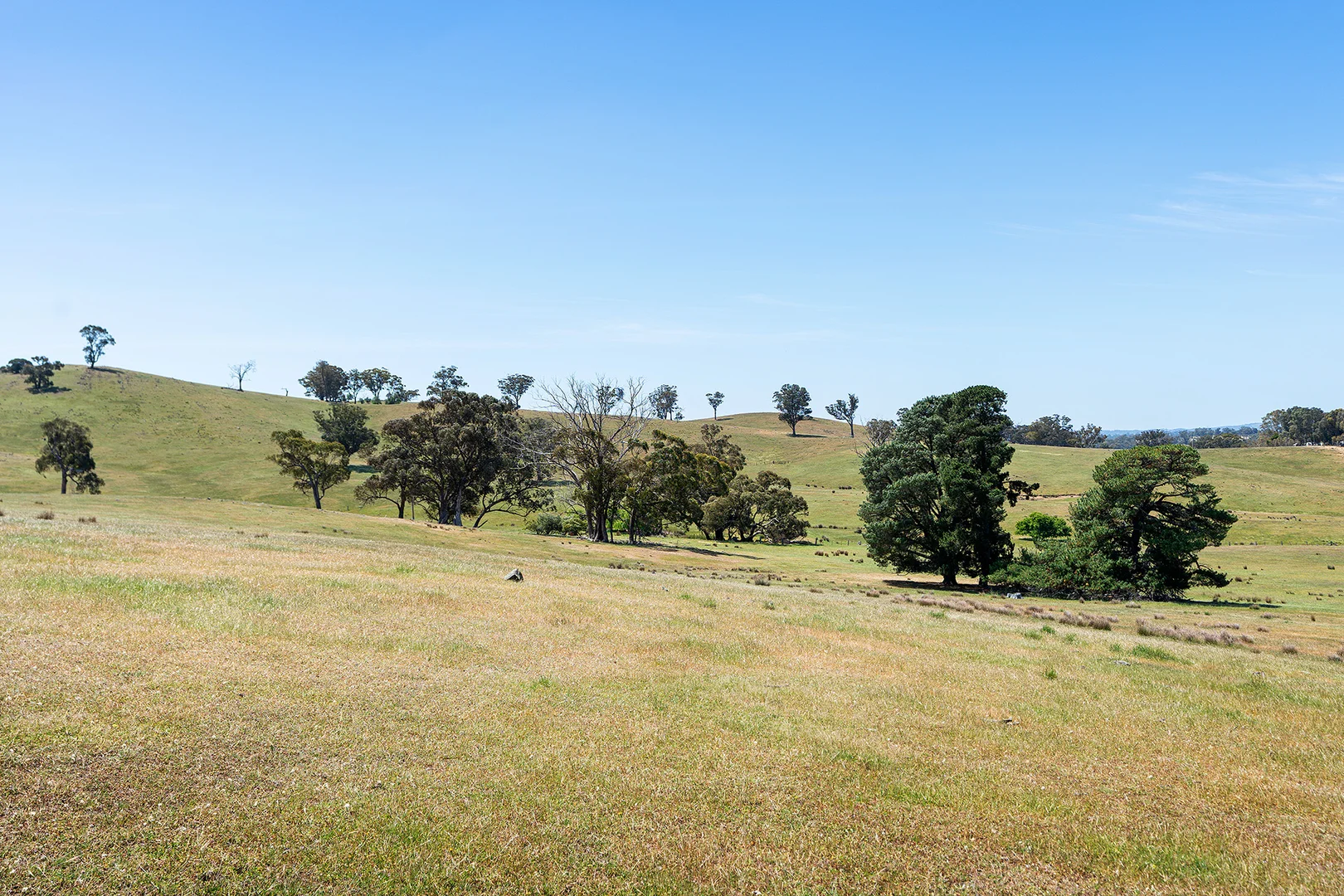 Additional image 16 of 186 Bells Reef Road, Maldon VIC 3463