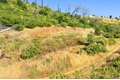 Additional image 14 of Pine Tree Ln, Berry Creek, CA, 95916