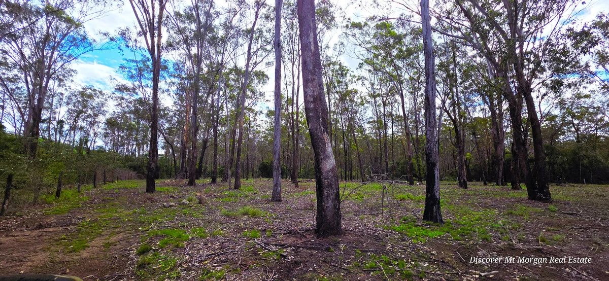 Additional image 9 of 227a Archer Road, Struck Oil QLD 4714