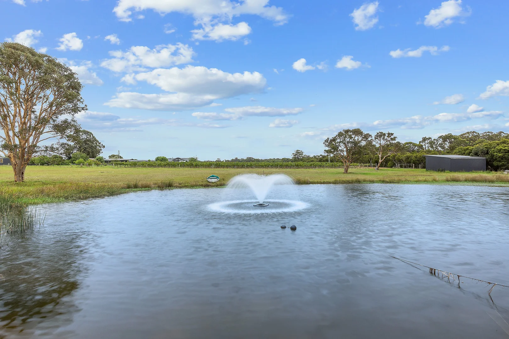 Additional image 25 of 168 Lomas Lane, Nulkaba NSW 2325