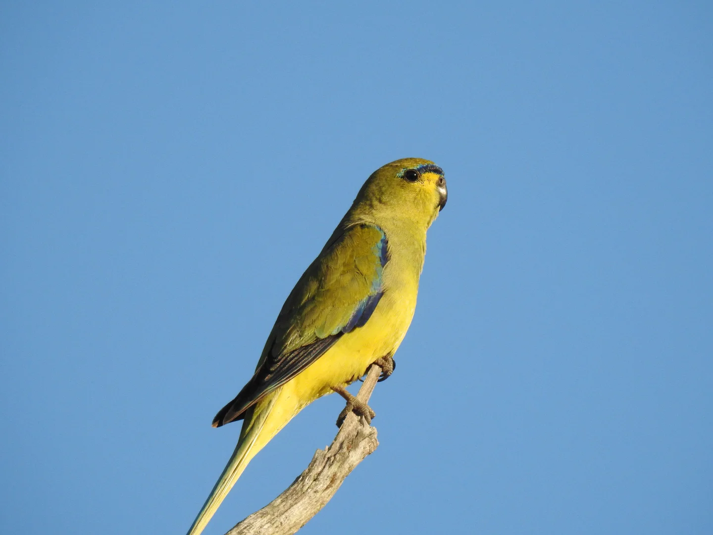 Additional image 34 of 839 Signal Flat Road, Finniss SA 5255