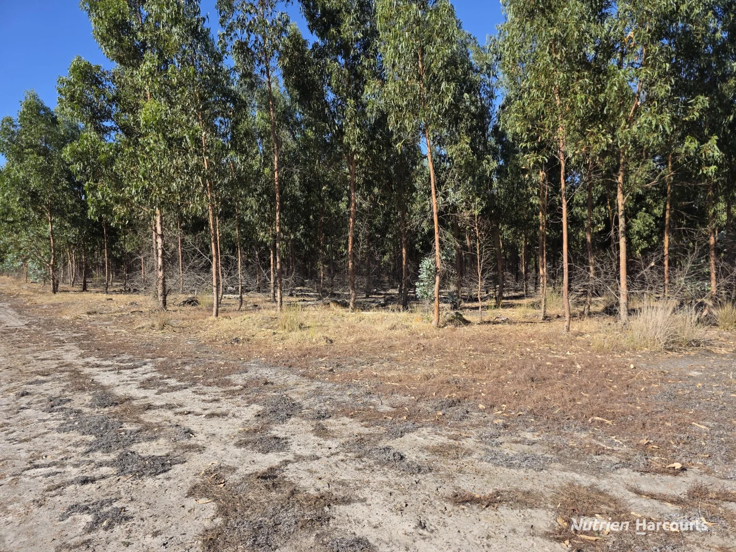 Additional image 15 of 1578 Yellanup Road, Narrikup WA 6326