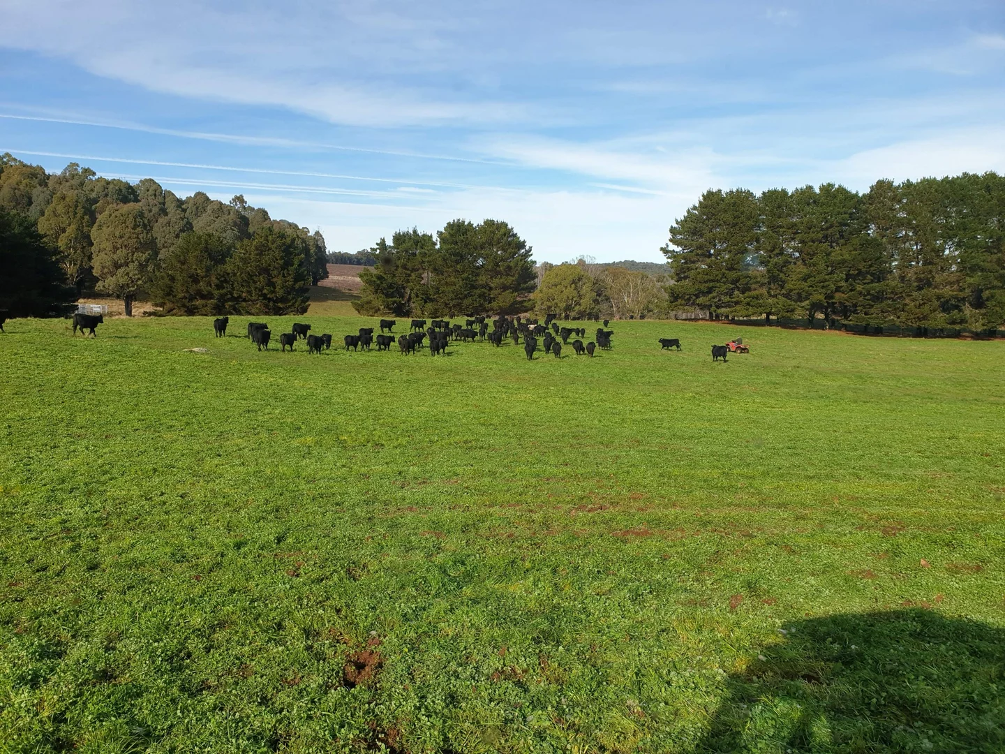 Additional image 14 of Lots 23 - Lot 22/2769 Batlow Road, Kunama NSW 2730