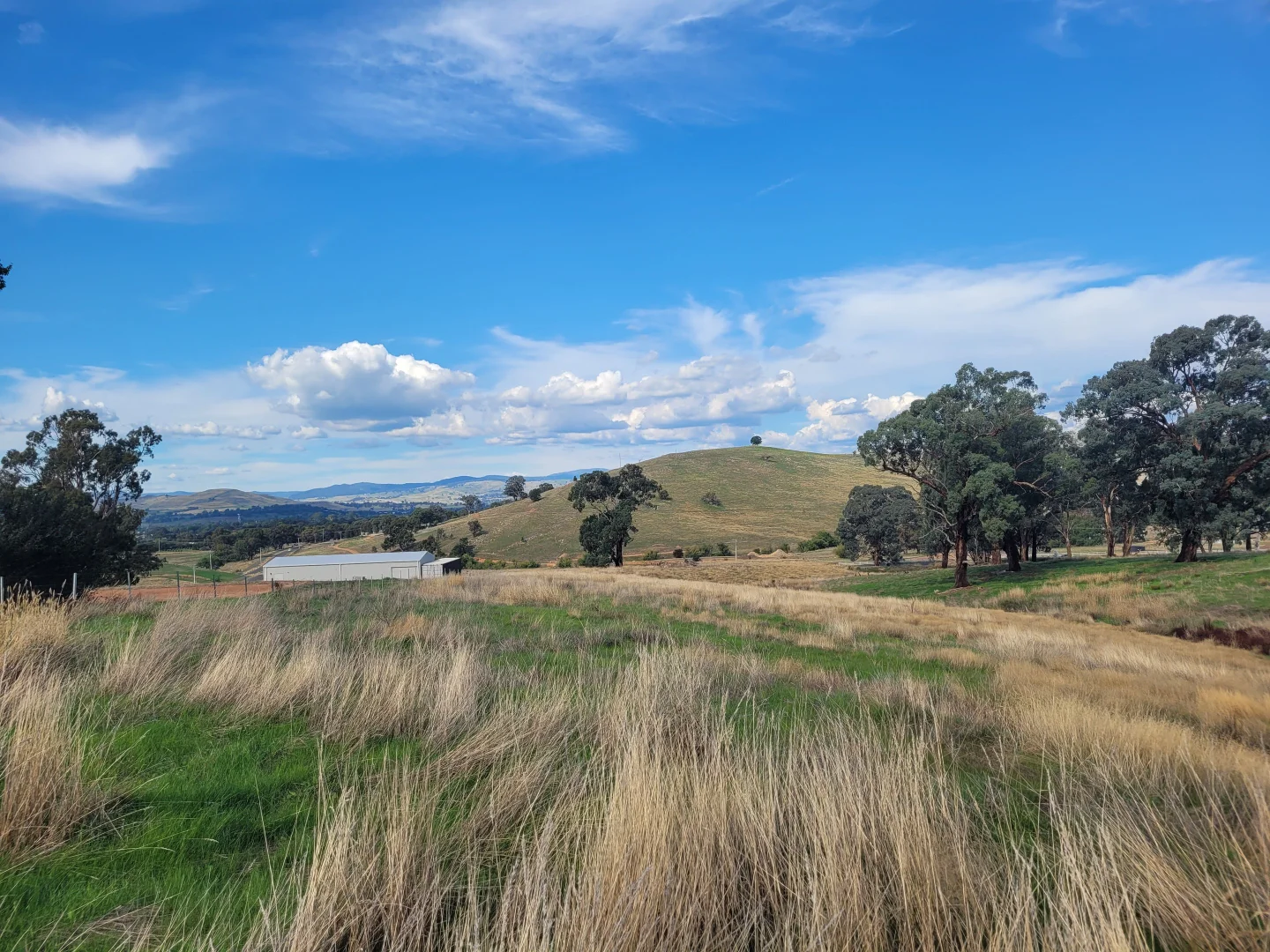 Additional image 5 of 84 Owens Creek Drive, Mansfield VIC 3722