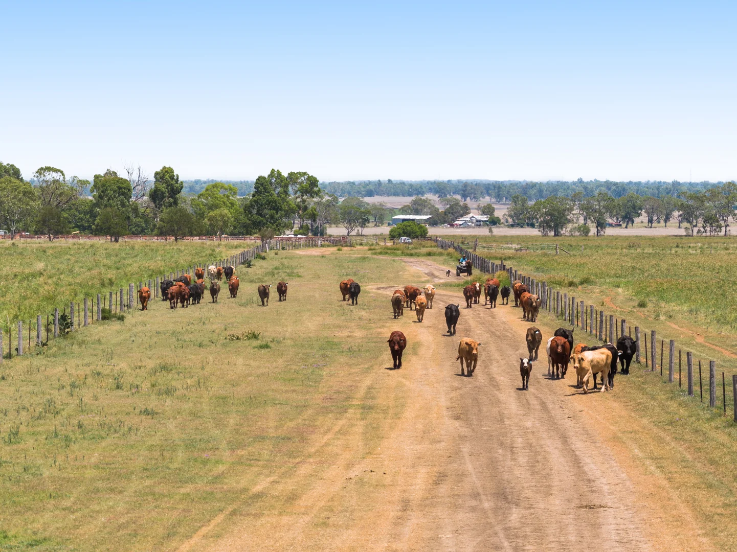 Additional image 29 of 'Ashby' 48 Felton View Road, Ellangowan QLD 4361