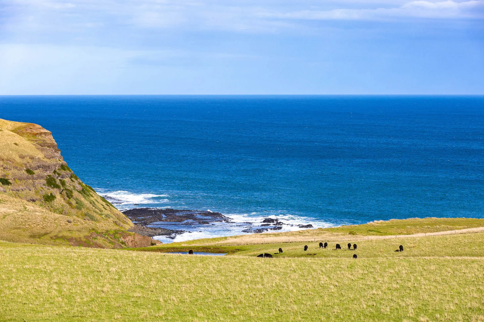 Additional image 14 of 1820 Boneo Road, Flinders VIC 3929