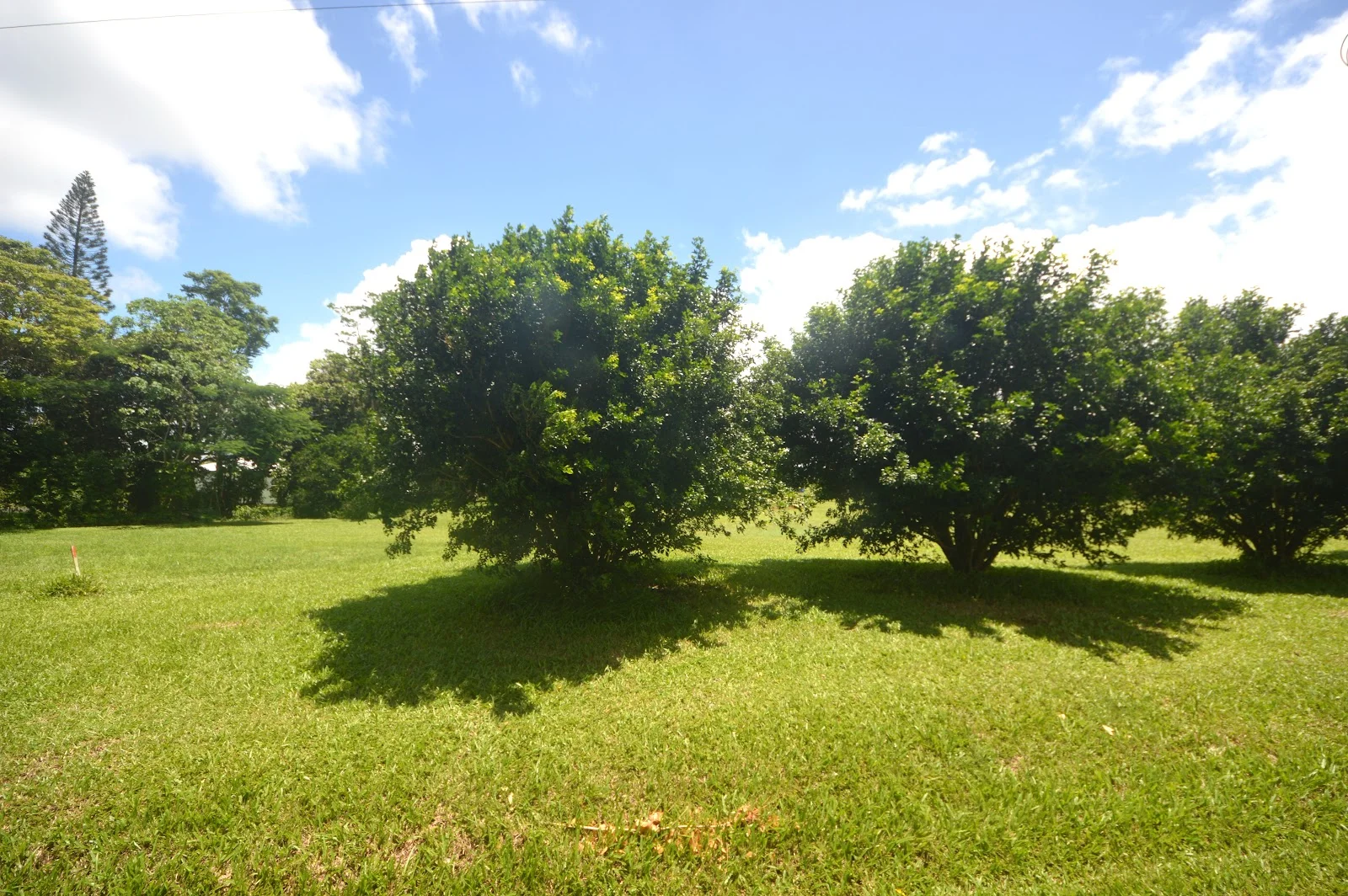 Additional image 4 of 2 Mccowatt Road, Garradunga QLD 4860