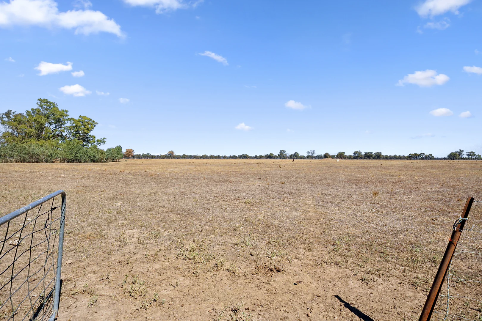 Additional image 13 of 1288 Murchison-Violet Town Road, Arcadia South VIC 3631