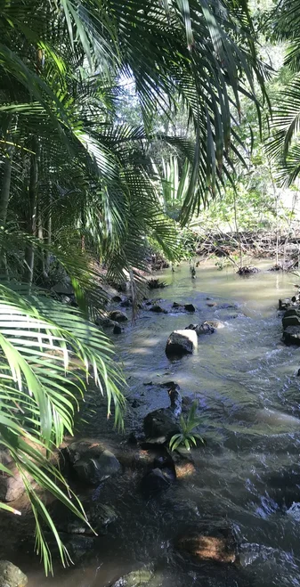 Additional image 24 of 6 Mac Stocks Drive, Dundowran QLD 4655