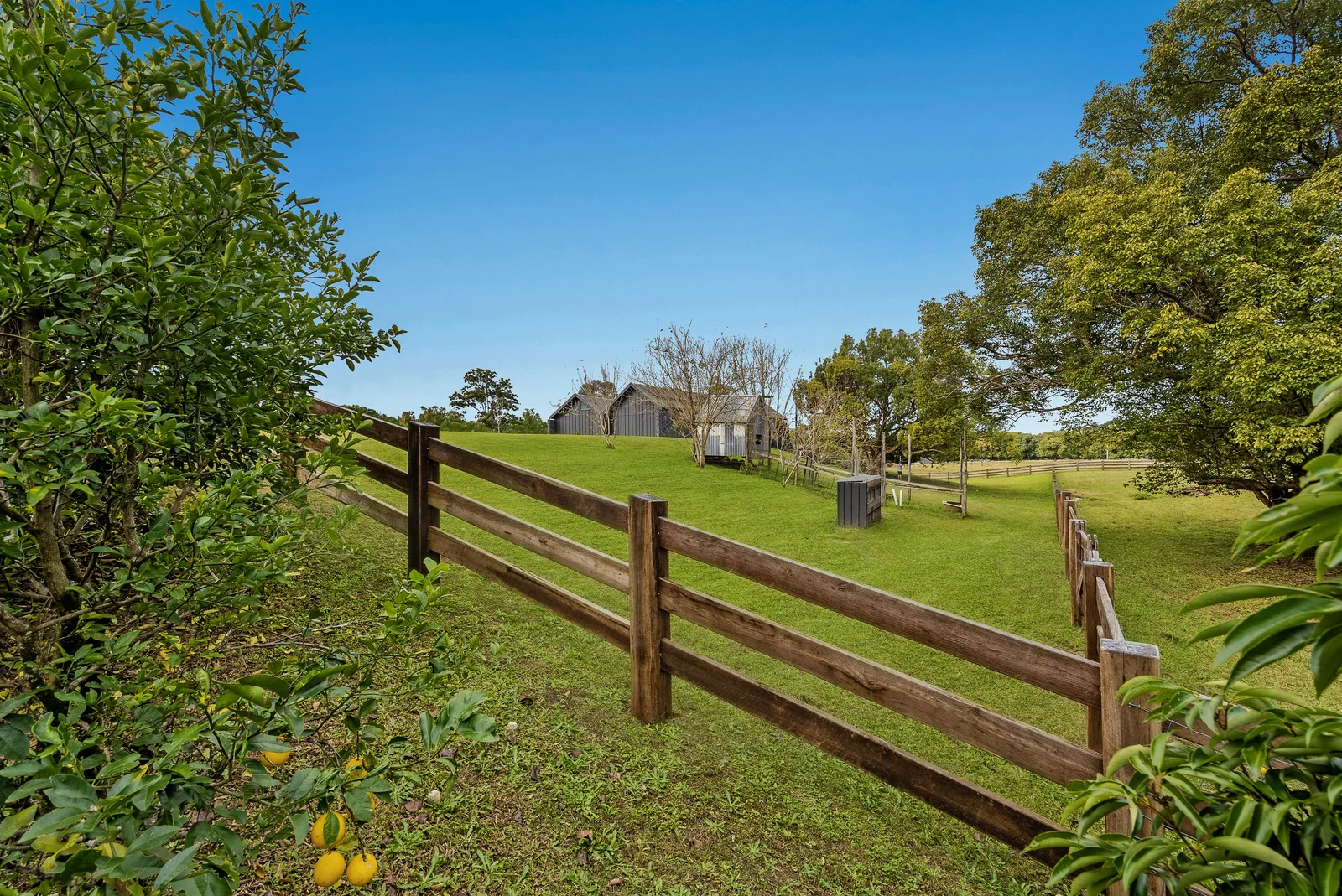 Additional image 44 of 19 Lacey Lane, Yandina QLD 4561