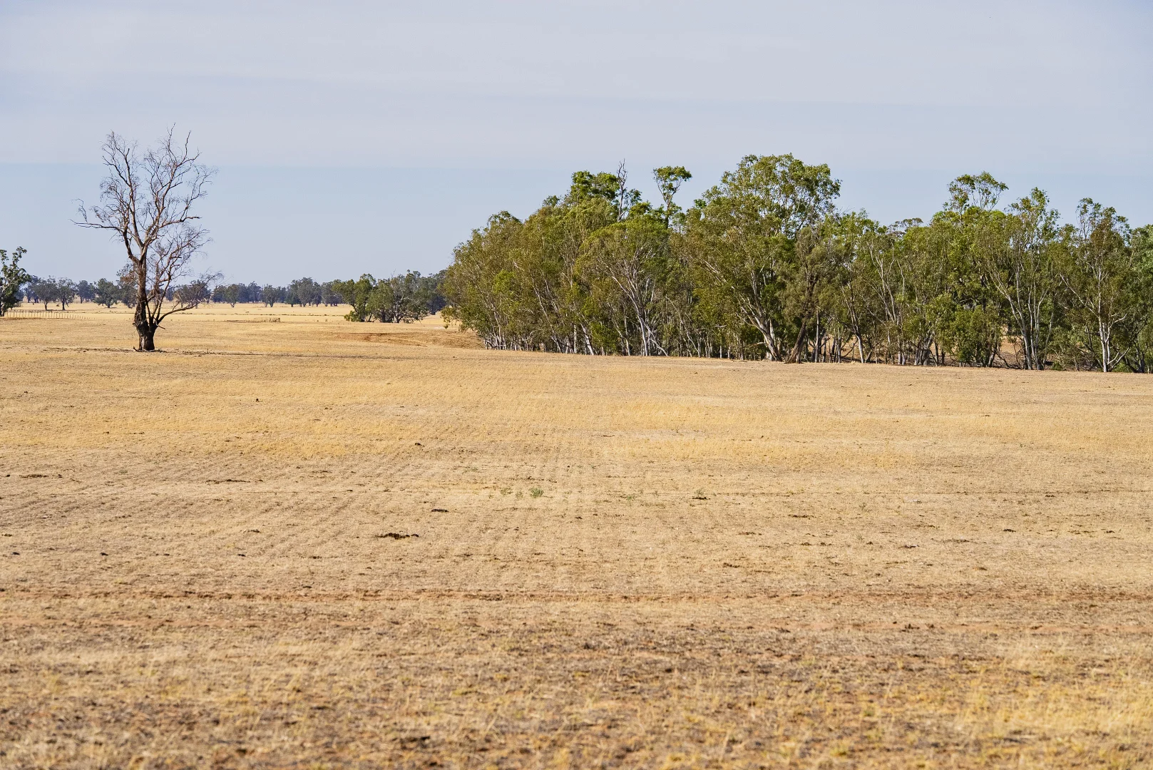 Additional image 14 of 1152 Central Island Road, Galore NSW 2650