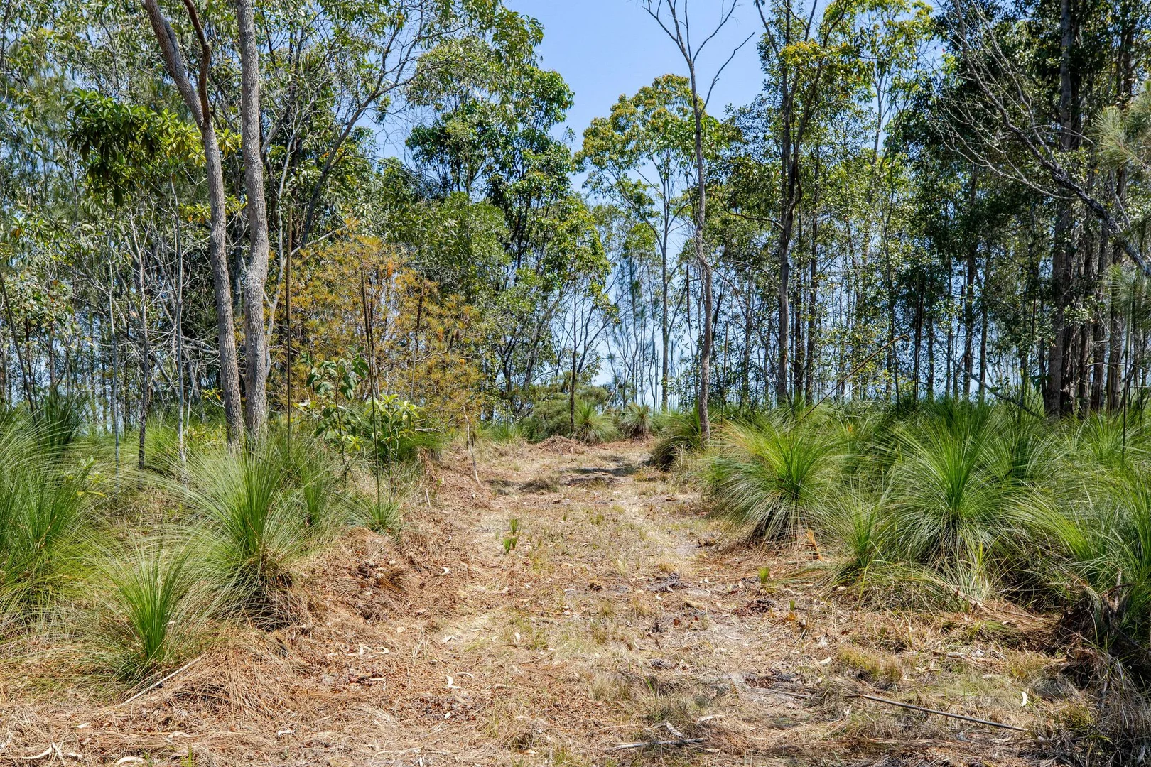 Additional image 13 of Lot 92/96 Mary Jane Drive, Julatten QLD 4871