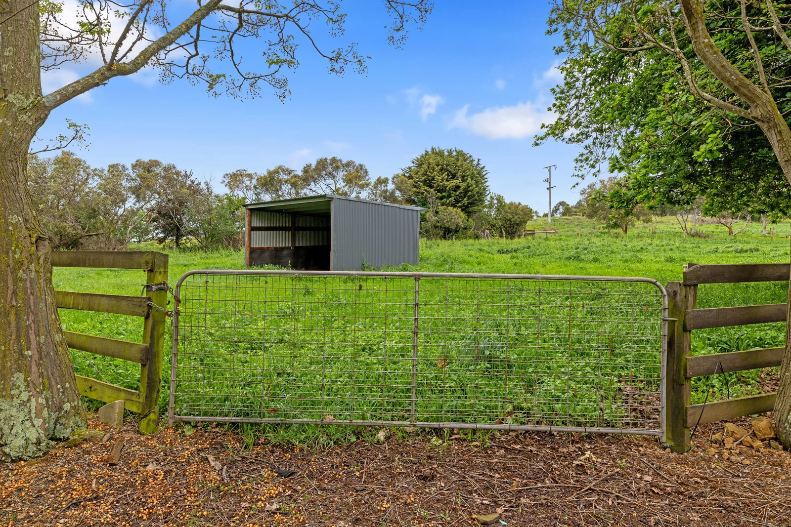 Additional image 25 of 335 Harveys Road, Ruby VIC 3953
