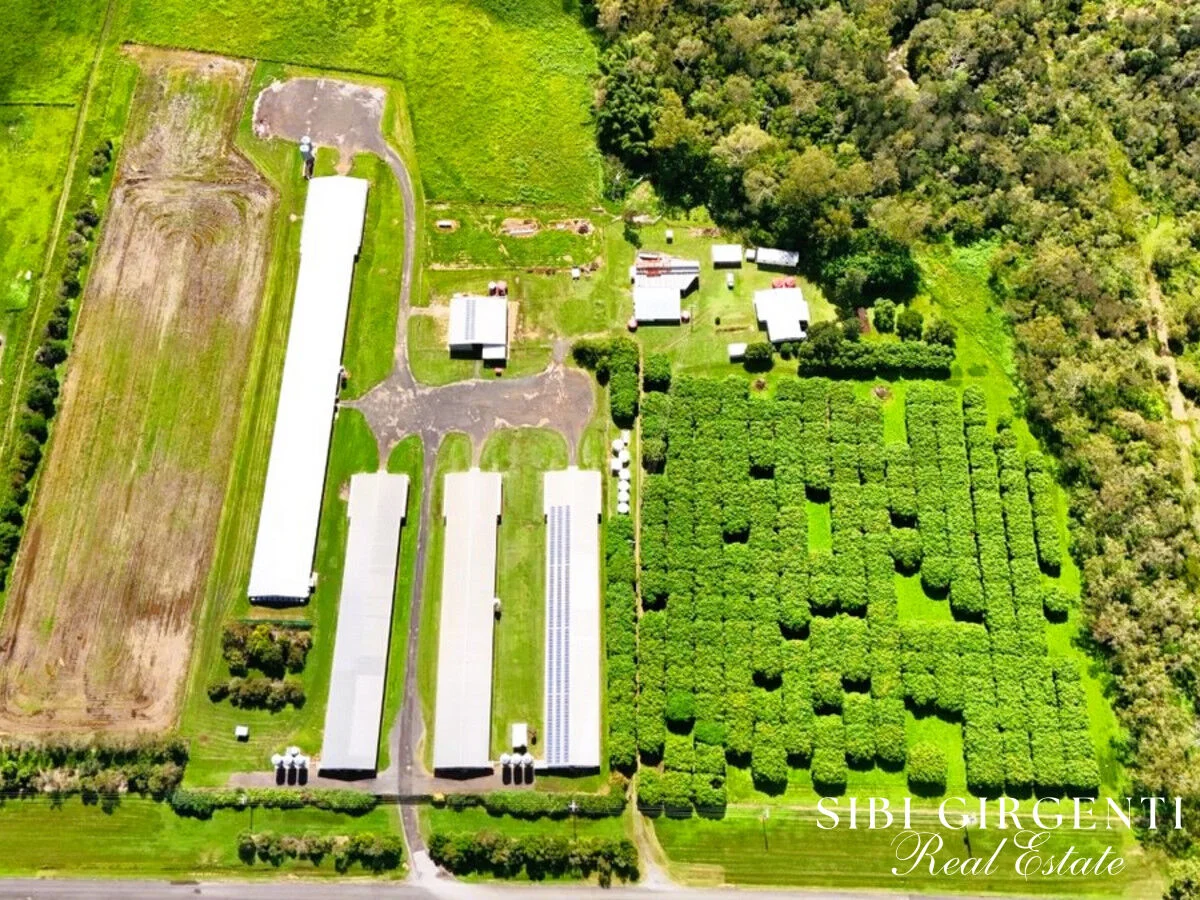 Additional image 23 of 1004 Bilwon Road, Biboohra QLD 4880