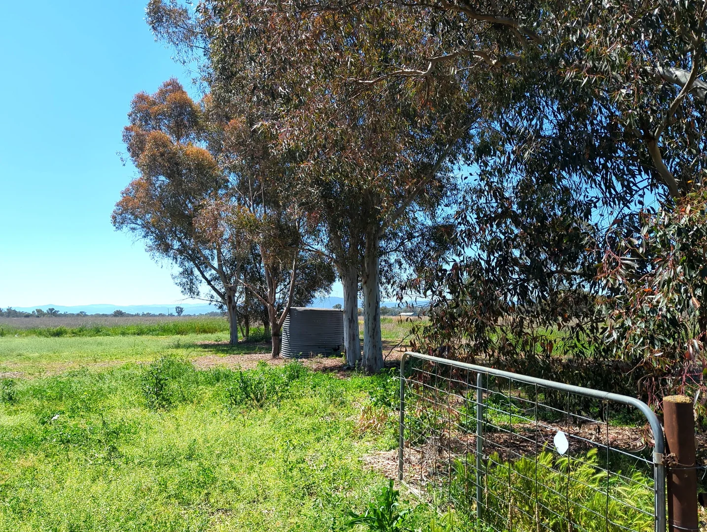 Additional image 6 of 5082 Werris Creek Road, Warral NSW 2340